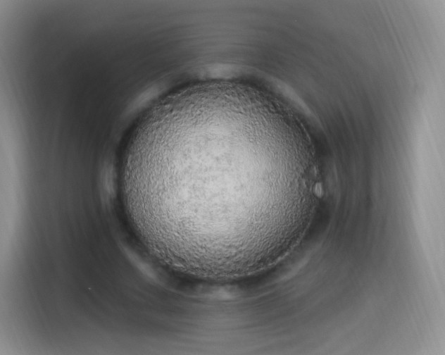 X0000115360683200911101157