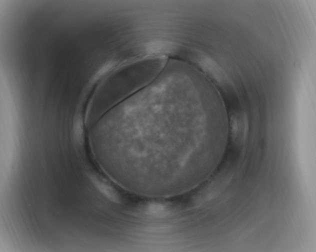 X0000115360684200911101157