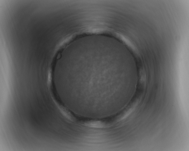 X0000115360685200911101157