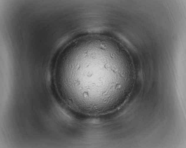 X0000115360687200911101157