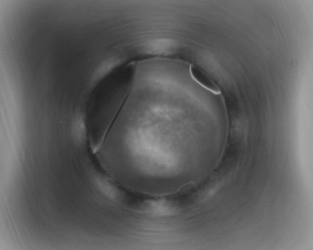 X0000115360688200911101157