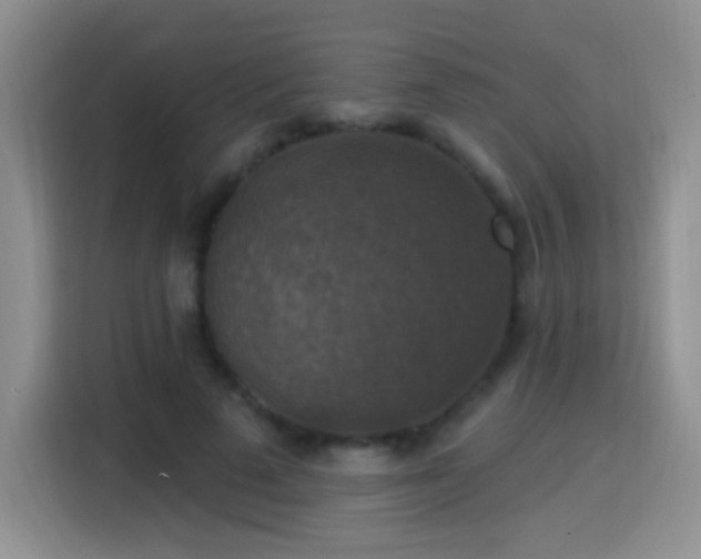 X0000115360689200911101157