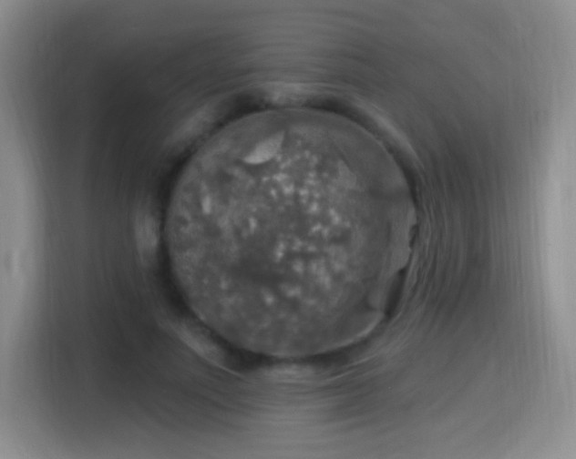 X0000115360691200911101157