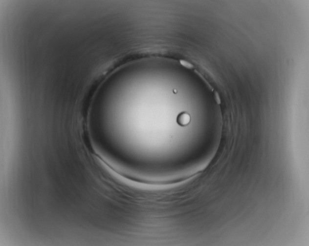 X0000115360692200911101157