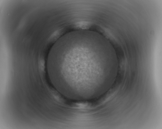 X0000115360693200911101157