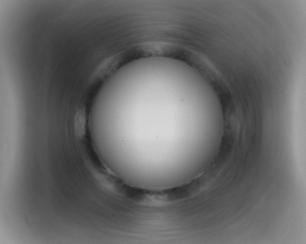 X0000115360694200911101157