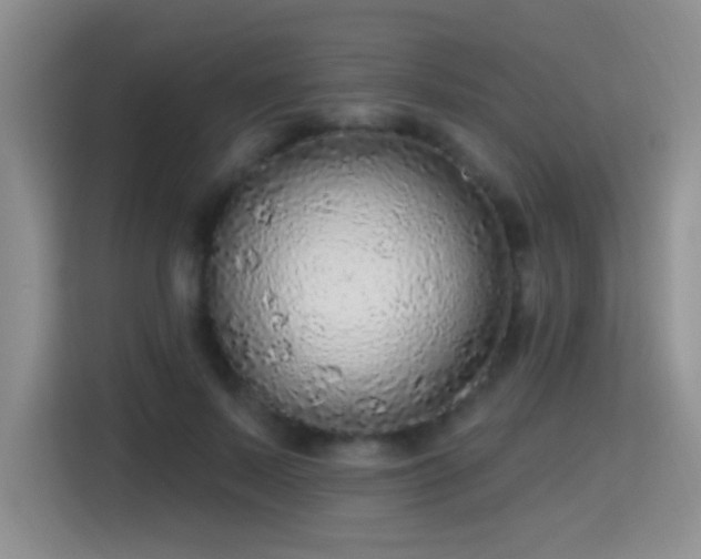 X0000115360695200911101157