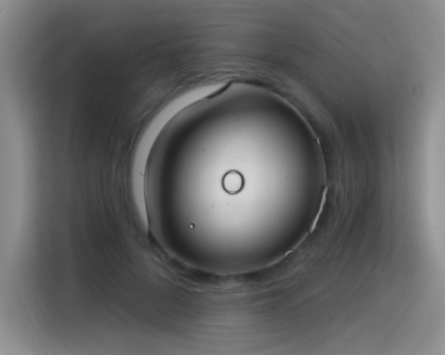 X0000115360696200911101157