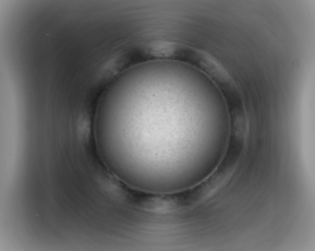X0000115360697200911101157