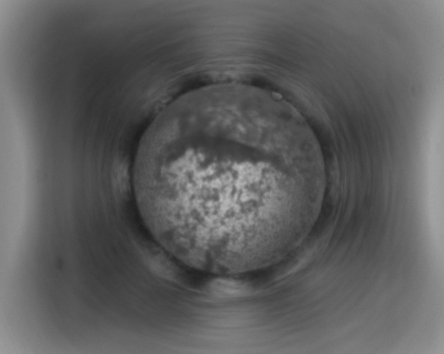 X0000115360699200911101157