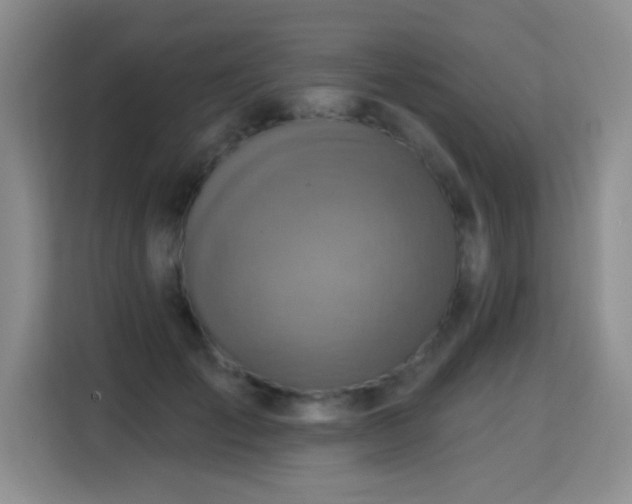 X0000115360701200911101157