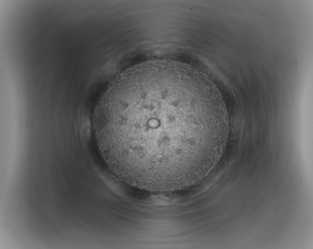 X0000115360703200911101157