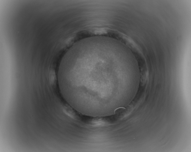 X0000115360704200911101156