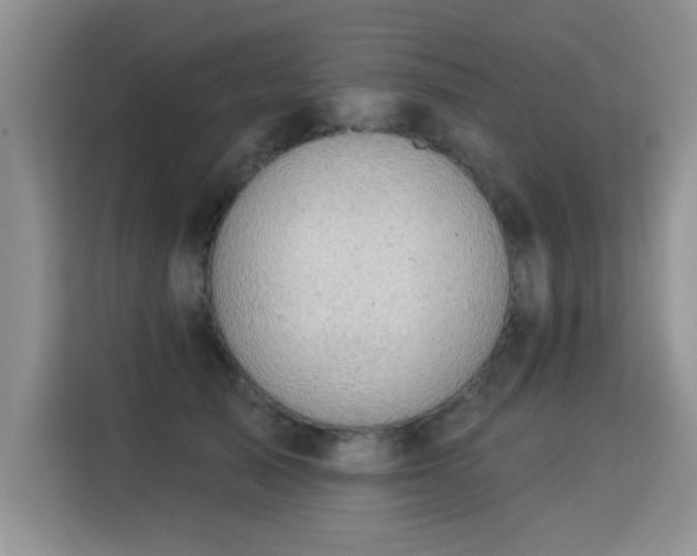 X0000115360705200911101156