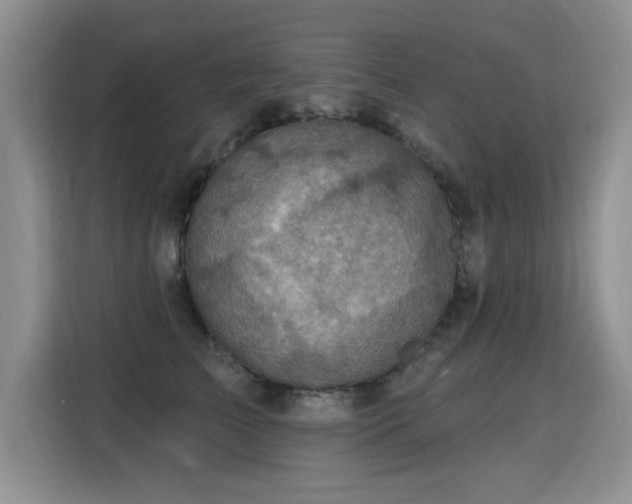 X0000115360709200911101156