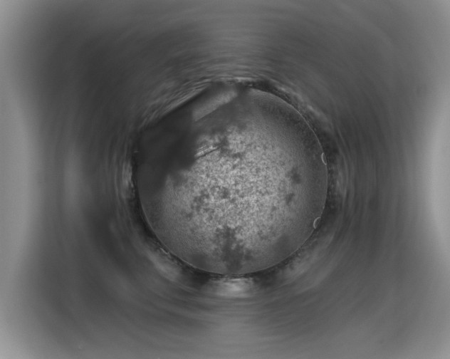 X0000115360711200911101156