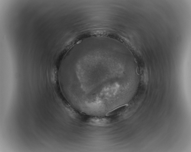 X0000115360712200911101156