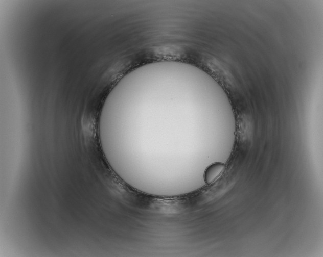 X0000115360713200911101156
