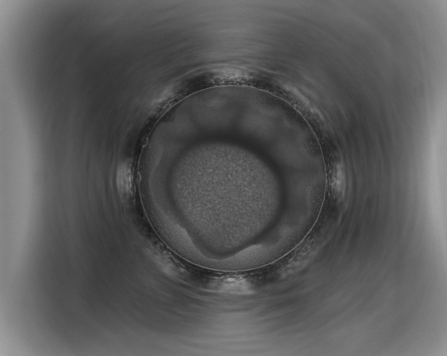 X0000115360715200911101156
