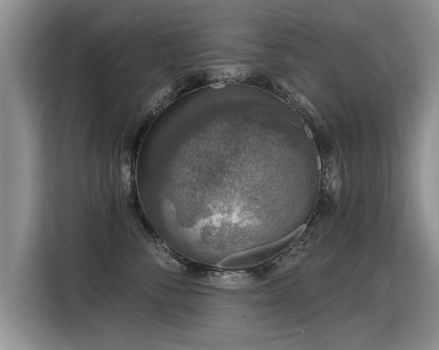 X0000115360716200911101156