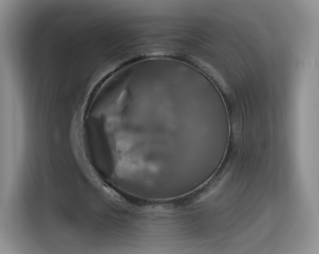 X0000115360721200911101156