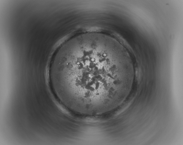 X0000115360725200911101156