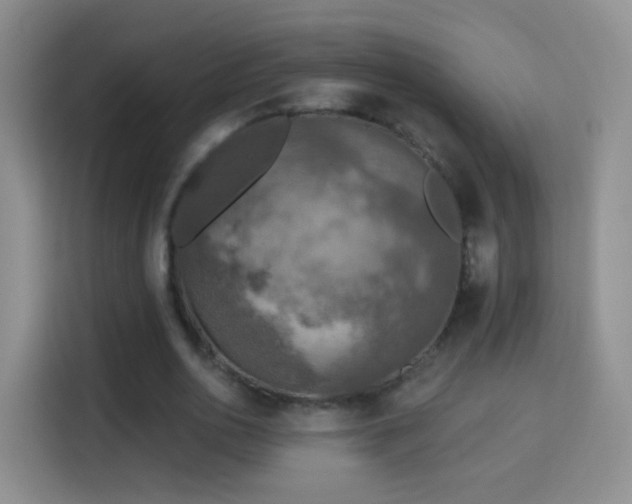X0000115360726200911101156