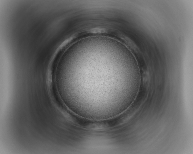 X0000115360727200911101156