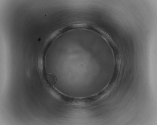 X0000115360729200911101156