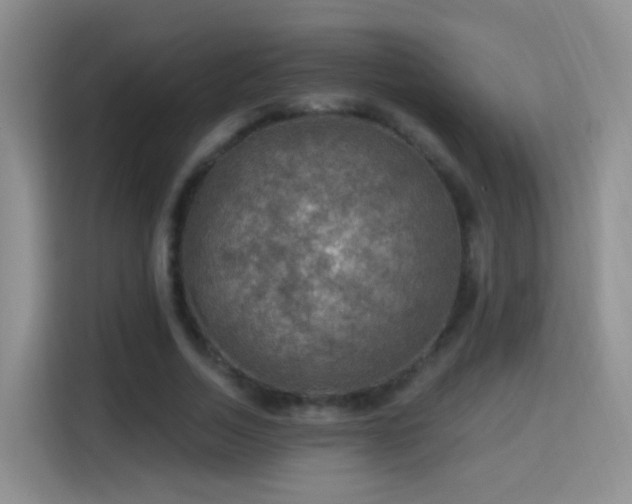 X0000115360730200911101156