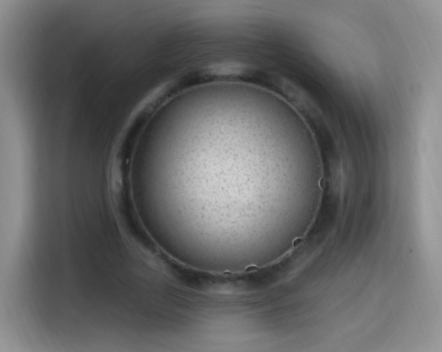 X0000115360731200911101156