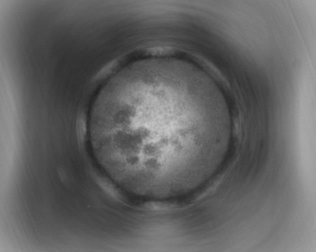 X0000115360733200911101156