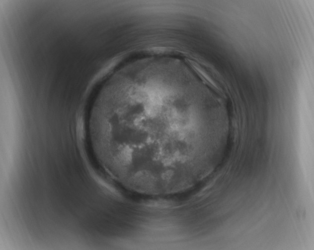 X0000115360734200911101156