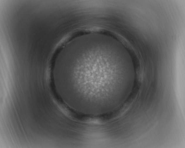 X0000115360735200911101156