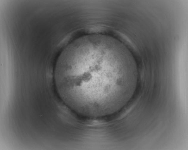 X0000115360737200911101156