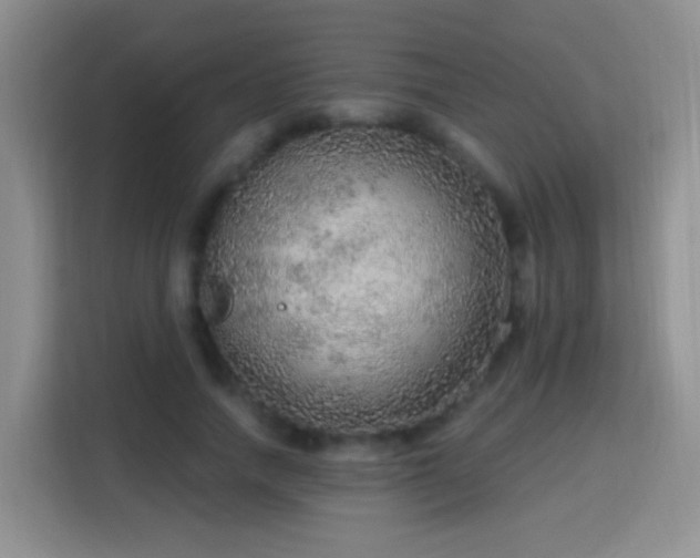 X0000115360738200911101156