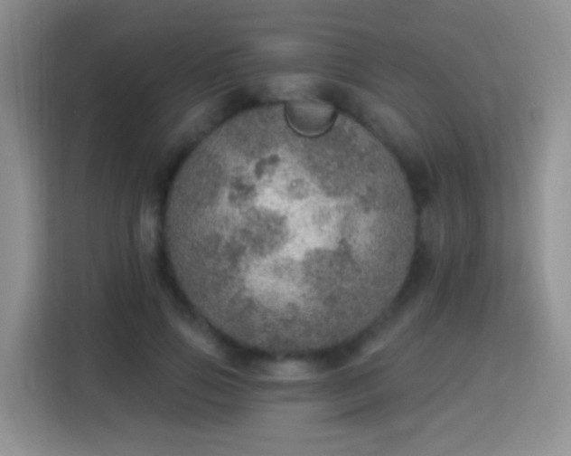 X0000115360741200911101156