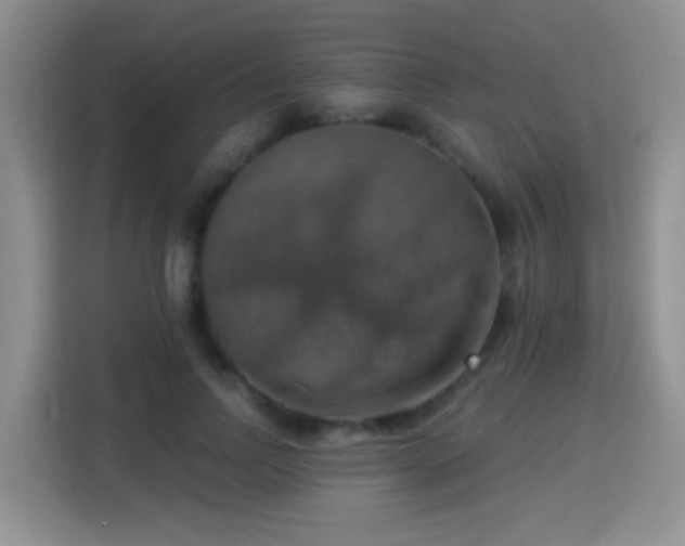 X0000115360742200911101156