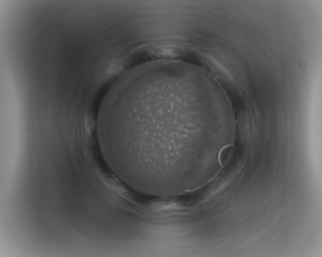 X0000115360747200911101156