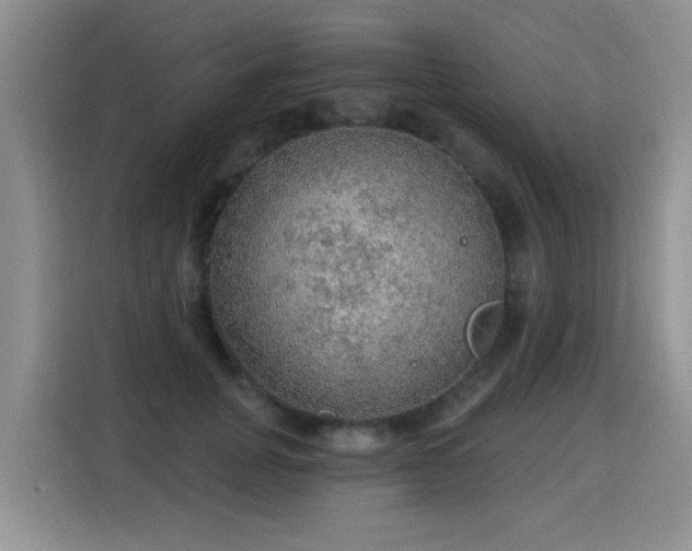 X0000115360751200911101156