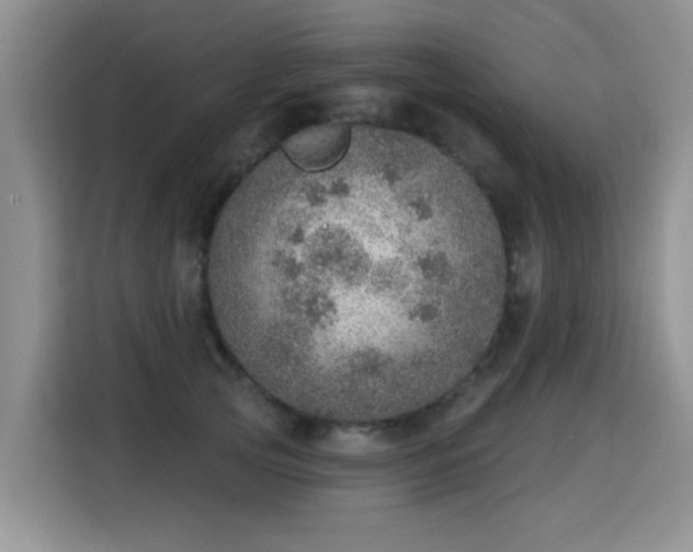 X0000115360753200911101156