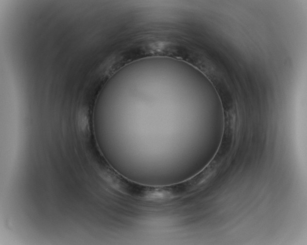 X0000115360754200911101156