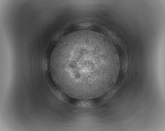 X0000115360758200911101156