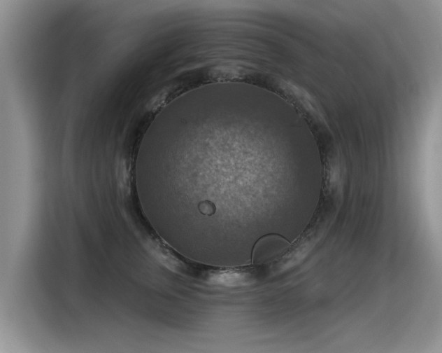 X0000115360759200911101156