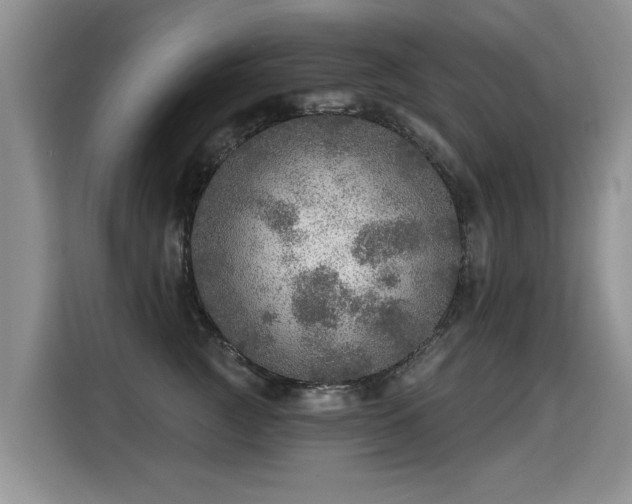 X0000115360761200911101156