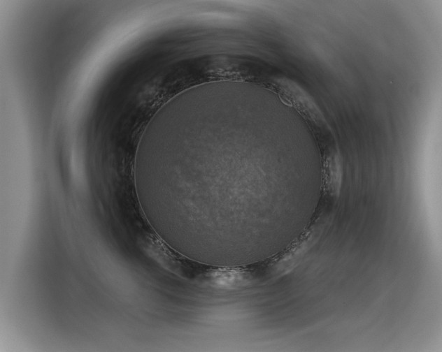 X0000115360762200911101156