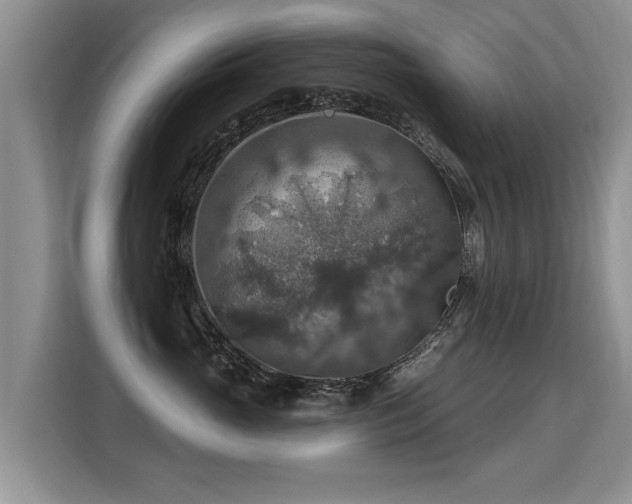 X0000115360765200911101156