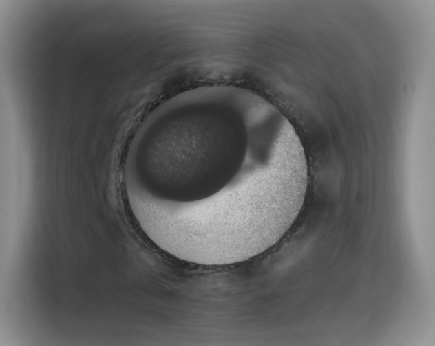X0000115360769200911101156