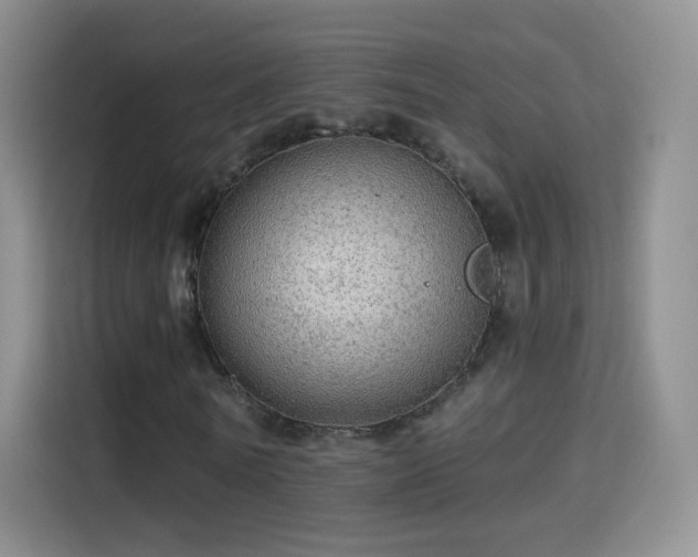 X0000115360770200911101156