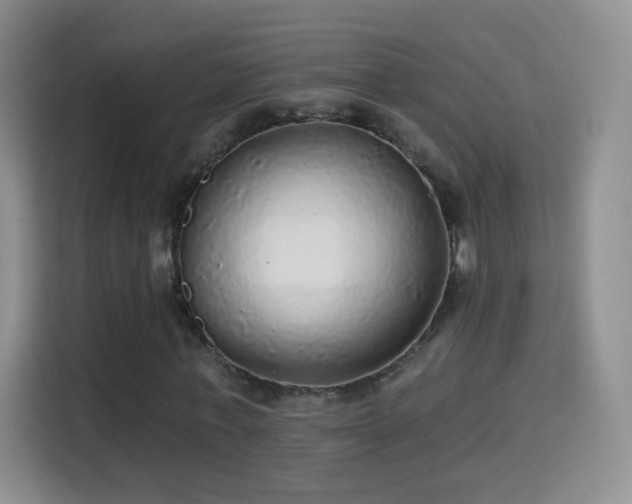 X0000115360771200911101156